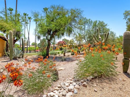 The image shows a desert garden with various types of cacti, blooming orange-red flowers, trees, and a clear blue sky.