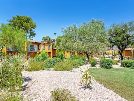 The image shows a landscaped area with desert plants, gravel pathways, and grassy areas in front of colorful buildings under a clear blue sky.