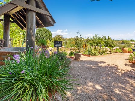 A vibrant garden with potted plants, a gravel path, and a wooden structure. A sign is visible in the background.