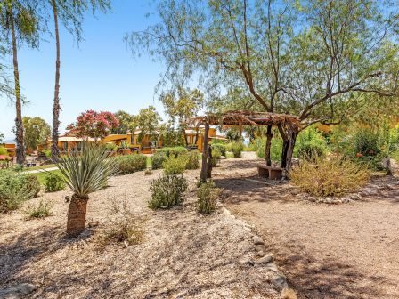 A sunlit outdoor area with trees, plants, a shaded bench, and a path surrounded by dry, sandy ground, likely in a desert environment.