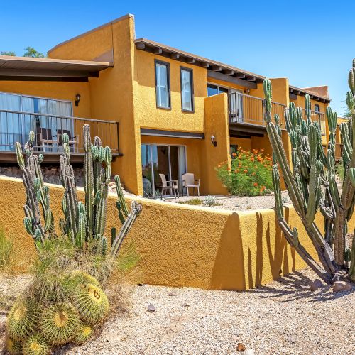 A modern two-story desert home with yellow walls, a balcony, and large windows. The yard features various cacti and desert plants under a clear blue sky.