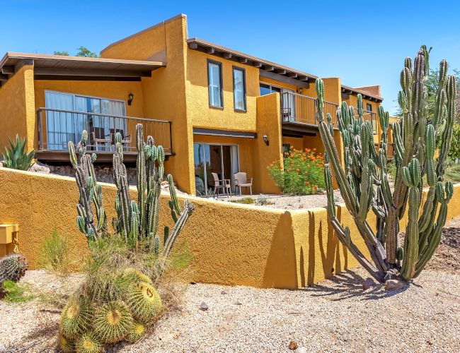 A modern two-story desert home with yellow walls, a balcony, and large windows. The yard features various cacti and desert plants under a clear blue sky.