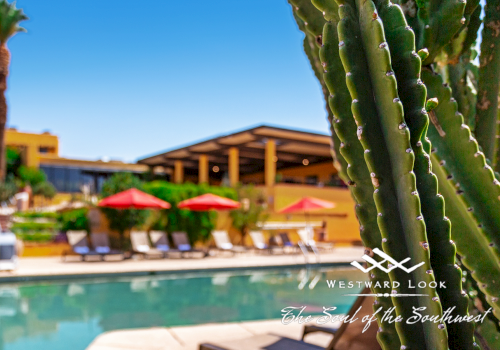 A poolside setting with lounge chairs, red umbrellas, and greenery. Text reads 