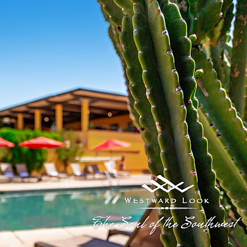 A poolside setting with lounge chairs, red umbrellas, and greenery. Text reads 