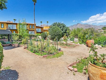 A vibrant garden with pathways, potted plants, and greenery, set in front of a yellow building with mountains in the background under a clear sky.