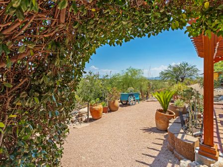 A garden path with potted plants, a green cart, and an archway made of foliage under a clear blue sky in a desert landscape setting.