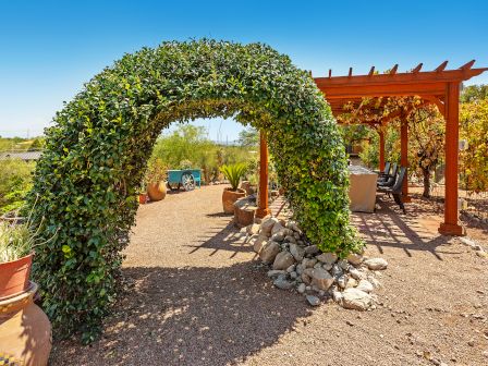 A garden scene with a leafy archway and a gazebo covered with climbing plants, surrounded by pots and desert landscaping under a bright blue sky.