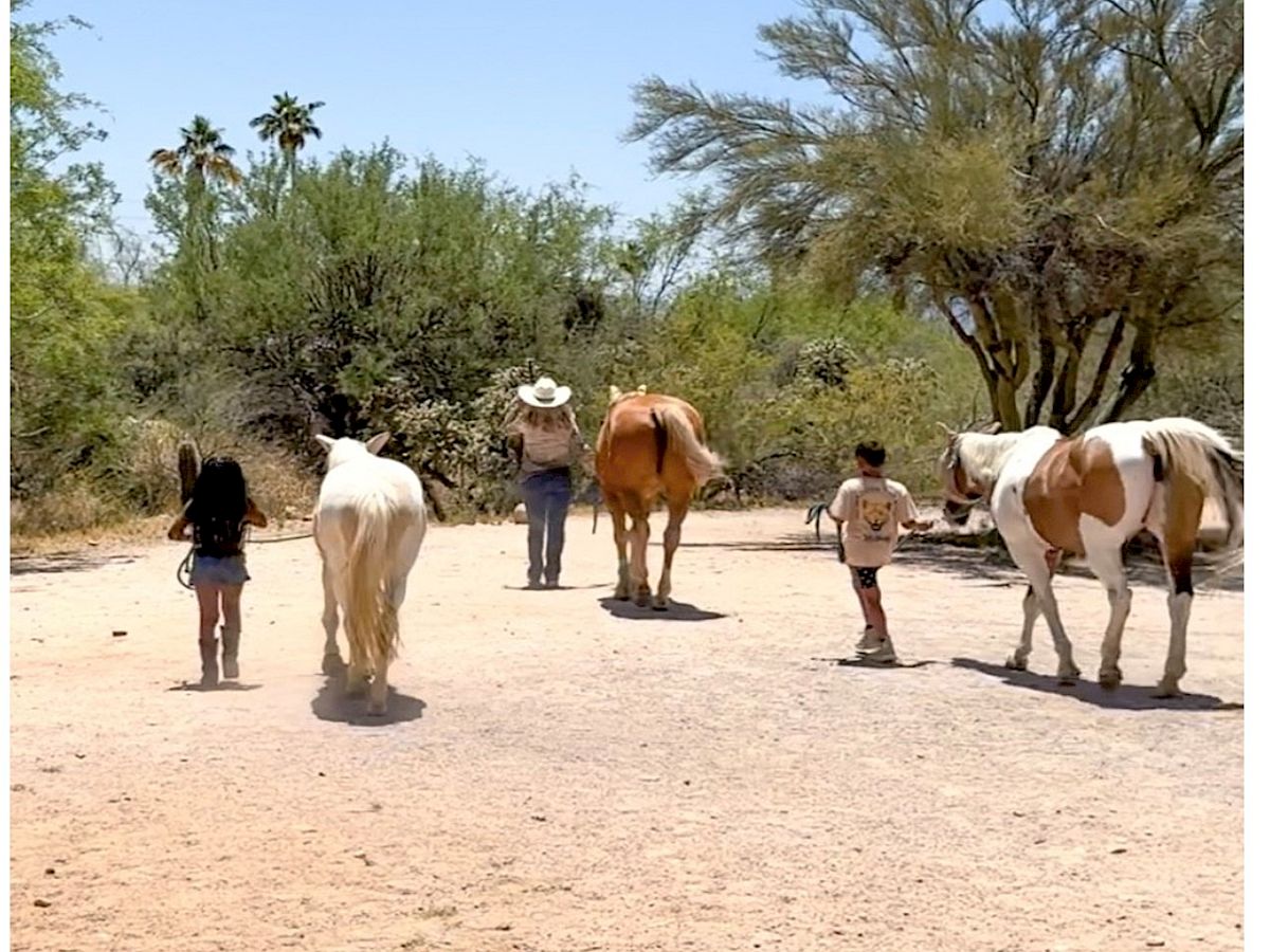 Three people walking with three horses on a dirt path surrounded by trees and bushes on a sunny day.