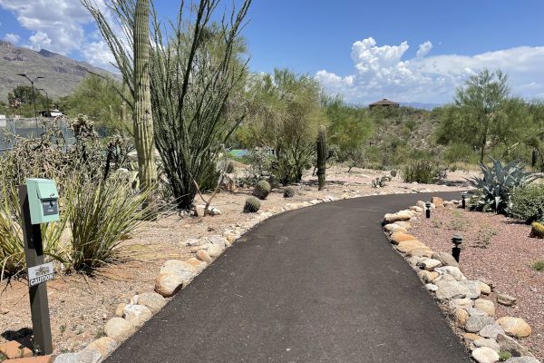 The image shows a paved path curving through a desert landscape with cacti, rocks, and shrubs under a bright blue sky with clouds in the distance.