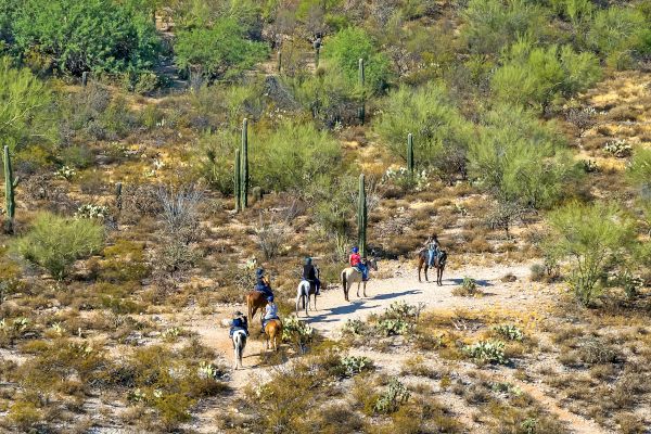 A group of people riding horses through a desert landscape with cacti and sparse vegetation.