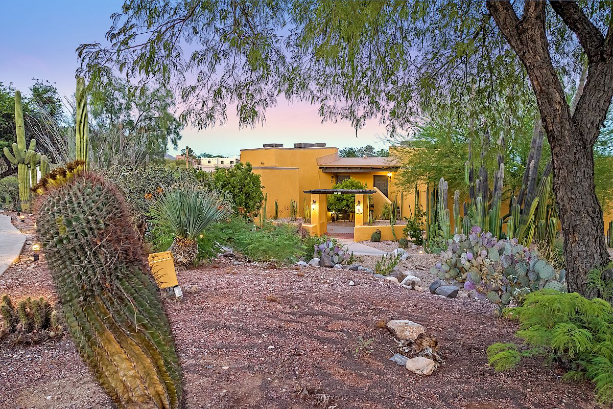 The image shows a desert landscape with various cacti and a yellow building in the background, framed by trees and plants at sunrise or sunset.