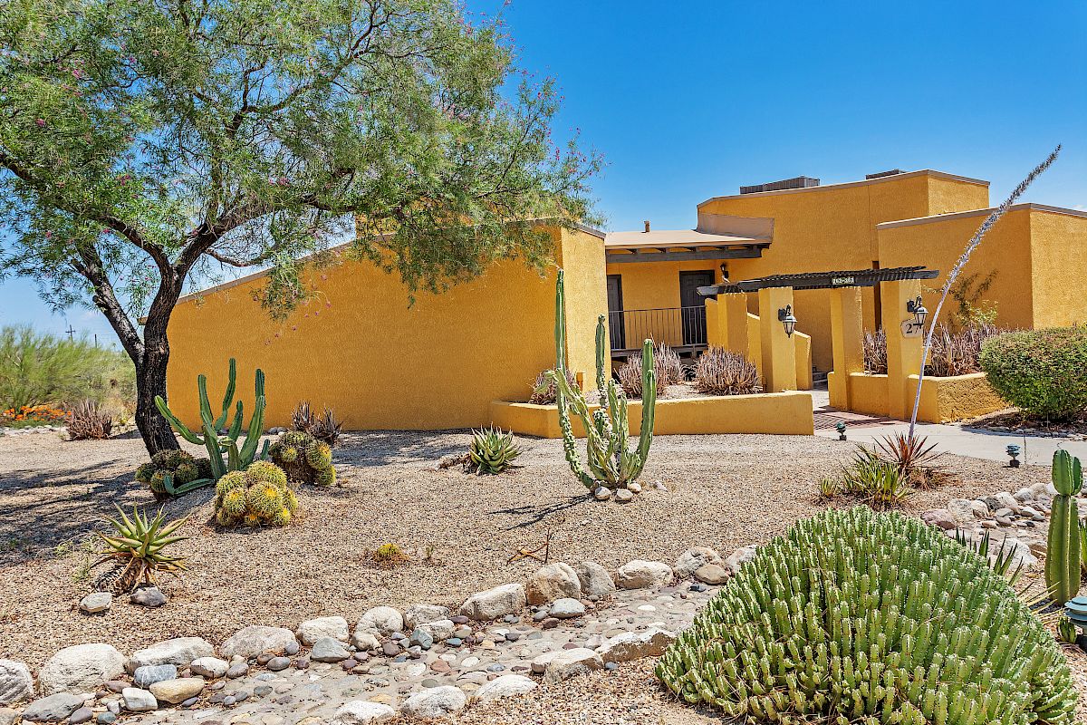A yellow stucco house with a desert landscape featuring various cacti, succulents, and rocks under a clear blue sky ends the sentence.