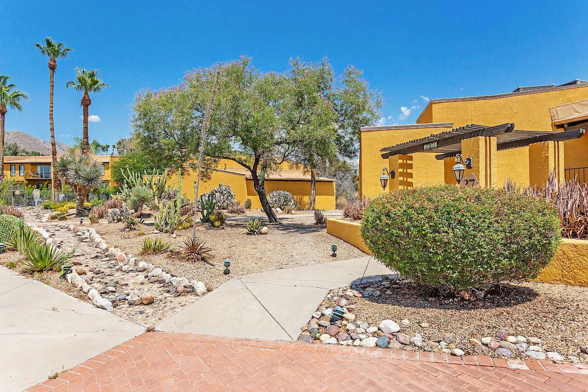 This image shows a desert-style landscape with yellow adobe buildings, palm trees, a paved walkway, and various desert plants and rocks.