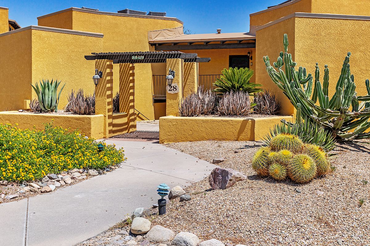 A desert-style home with yellow stucco walls has a garden featuring cacti, succulents, and yellow flowers along a curving concrete path ending the sentence.