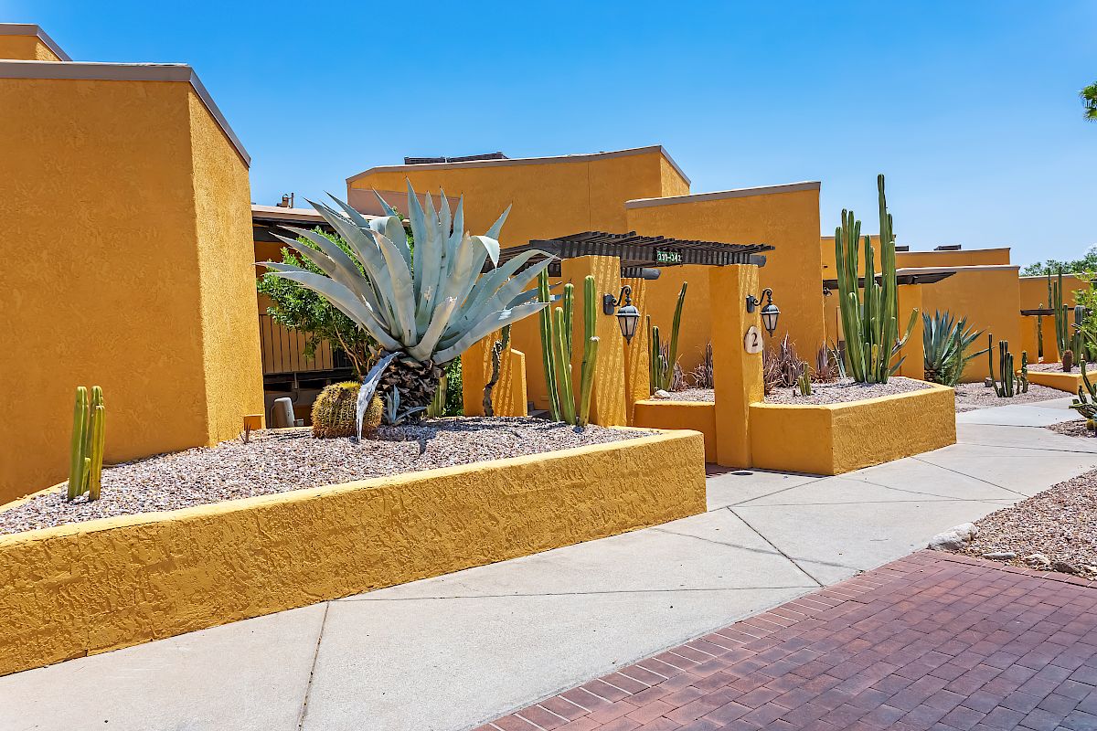 A landscaped area with yellow buildings, succulents, and cacti, showcasing a desert-themed design under a clear blue sky.