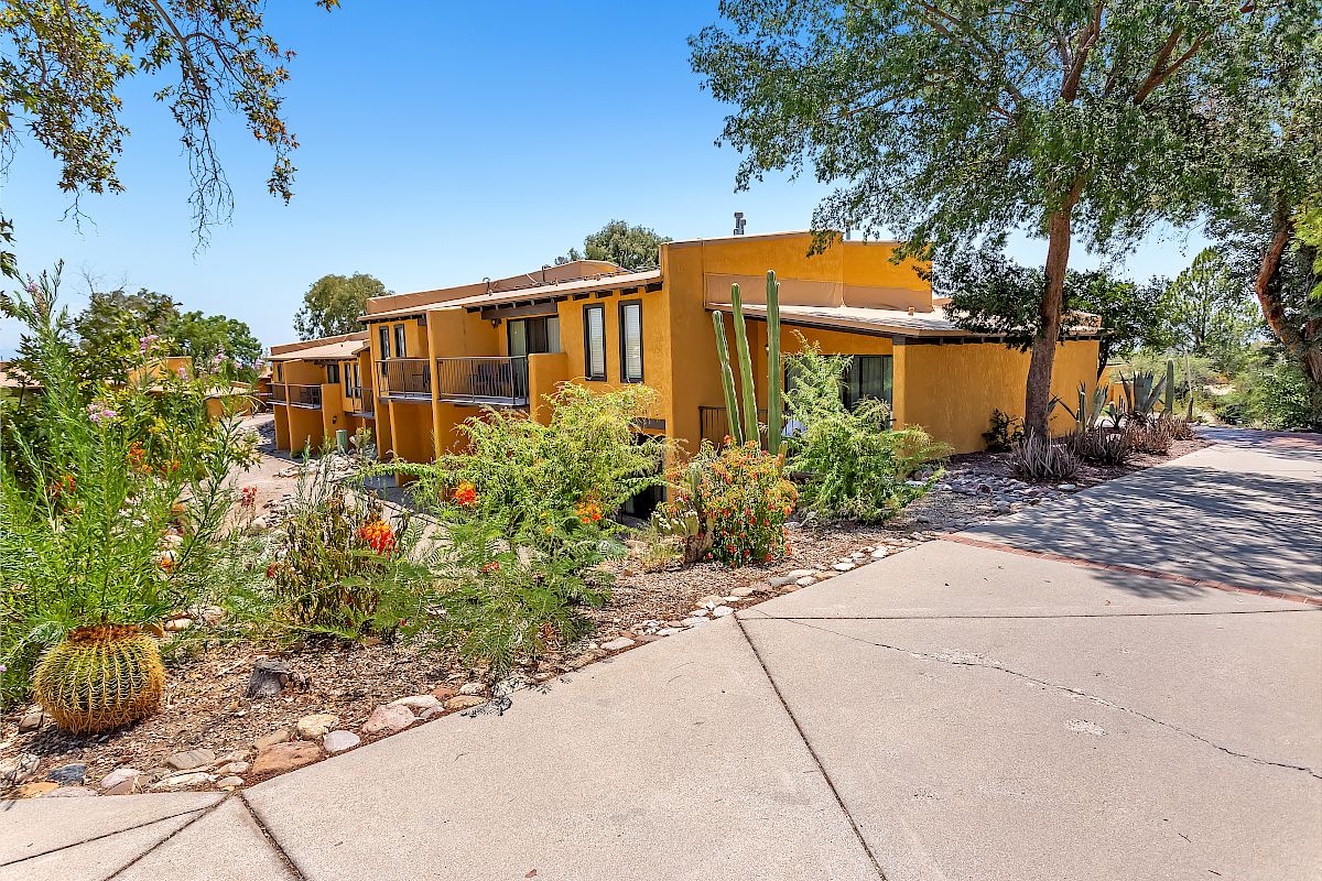 A yellow house with a desert-themed garden, cacti, and other plants along a concrete driveway under a clear blue sky is shown in the image.