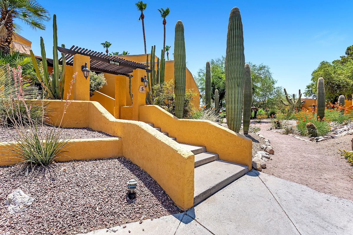 A building with yellow walls, surrounded by tall cacti and desert landscaping, featuring curved stairs and pathways.