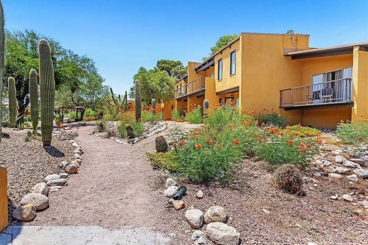 A path lined with rocks leads to a desert-style building with cacti, colorful flowers, and shrubs surrounding it under a clear blue sky.