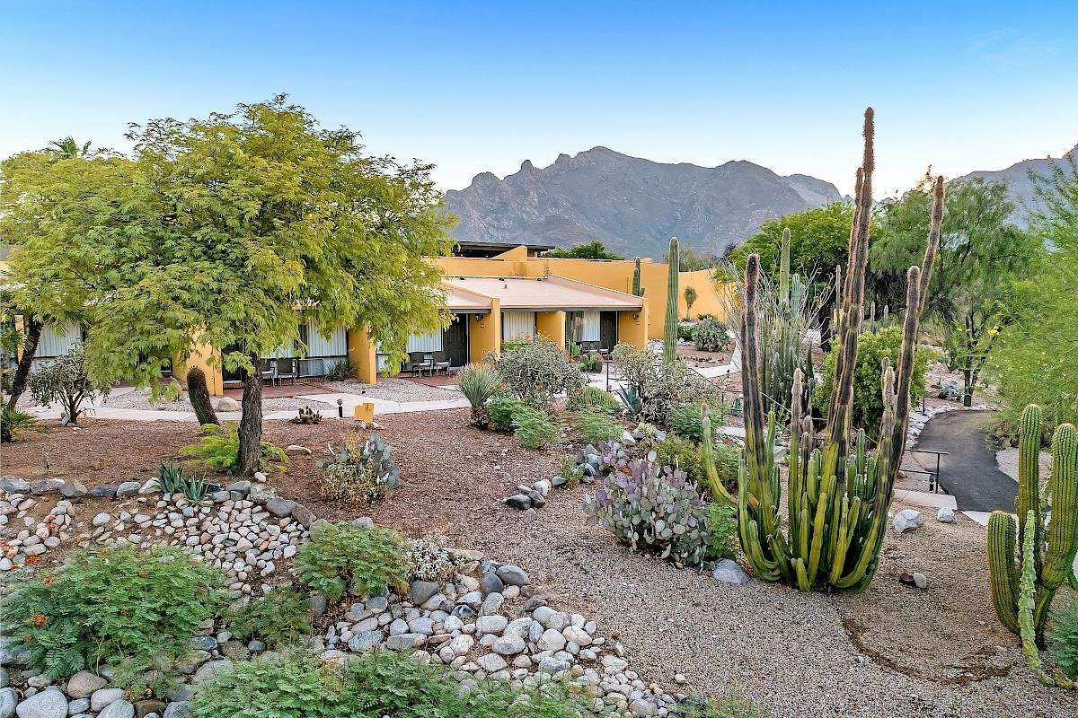 A desert landscape with a yellow house, large cacti, various desert plants, and a rocky walkway, all set against a mountainous backdrop.