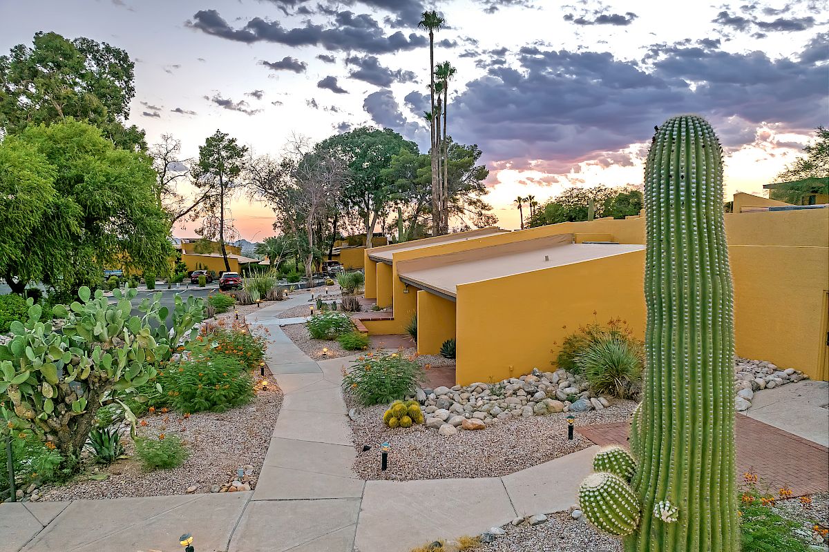 A desert landscape with cacti, trees, and a sunset sky, featuring modern yellow buildings and a paved walkway through rocky terrain.