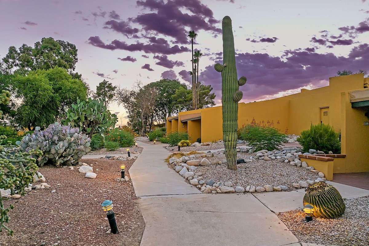 The image shows a desert-themed landscape with a cactus, pathway, rocks, lit garden lights, and a yellow building under a purple sky.