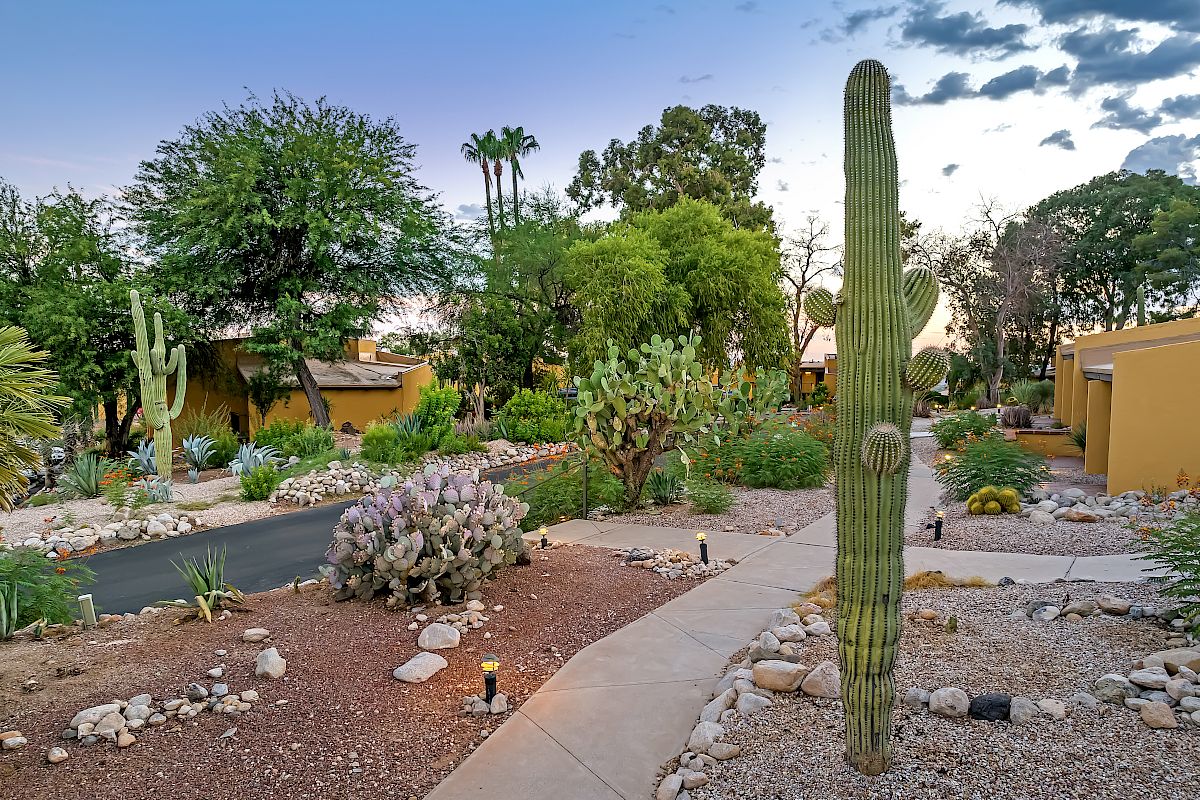 A desert garden with various cacti and succulents, pathways, and trees, surrounded by yellow buildings under a partly cloudy sky.