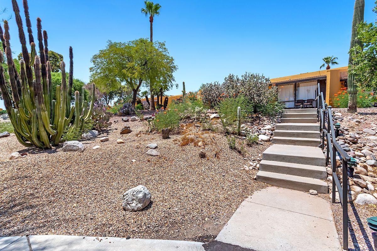 A modern house with a desert landscape, featuring cacti, gravel, rocks, and a concrete path leading to the entrance steps, on a sunny day.