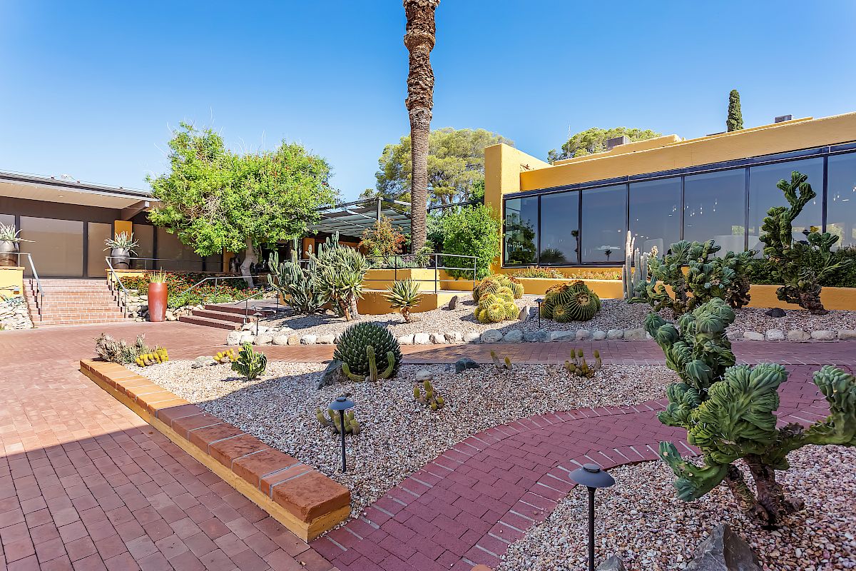 A desert landscape garden with various cacti, a brick walkway, a yellow building with large windows, and a tall palm tree in the background ends the scene.