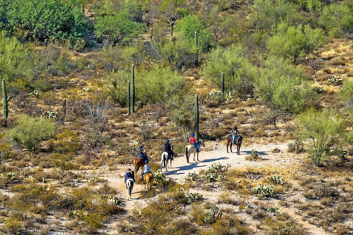 A group of people riding horses on a trail through a desert landscape with cacti and sparse vegetation, surrounded by dry terrain and shrubs.