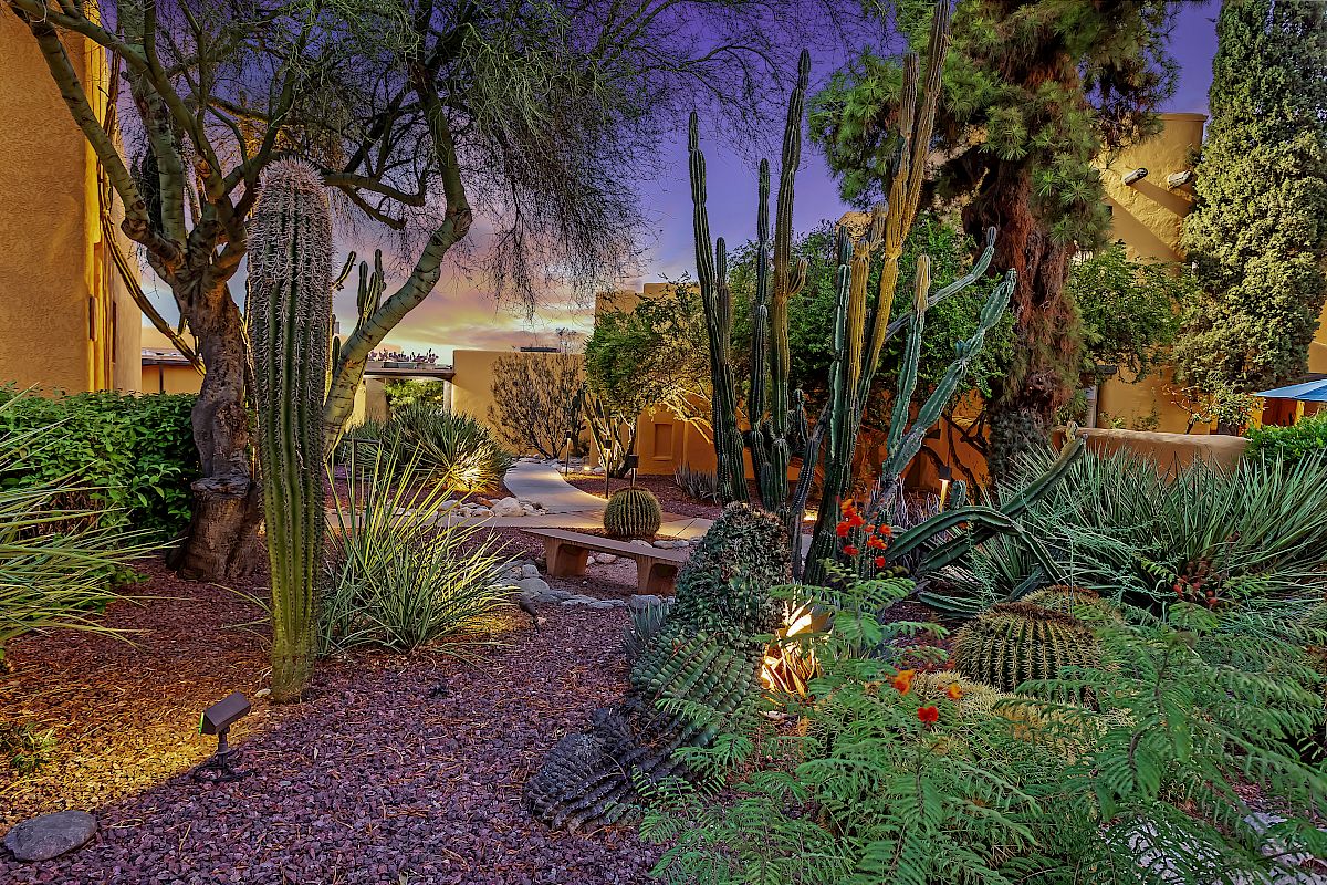 A beautifully landscaped desert garden with various cacti and succulents, lit up at dusk, surrounded by warm-colored buildings under a purple sky.