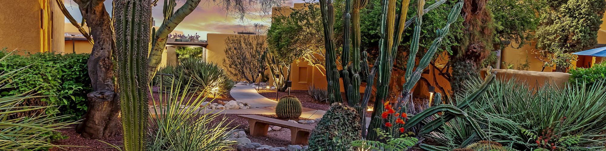 A garden with various cacti, desert plants, and a serene pathway at sunset, surrounded by lush greenery and tranquil lighting.